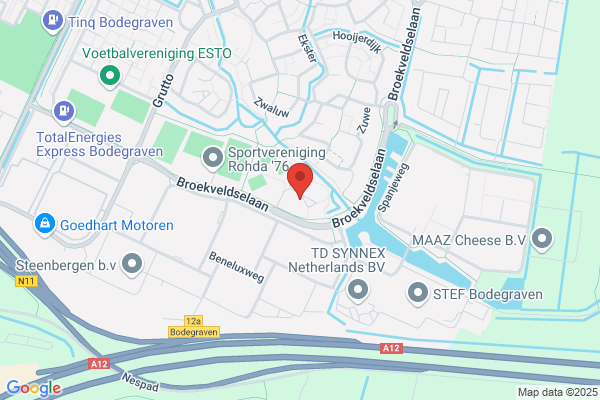 Dorsvloer