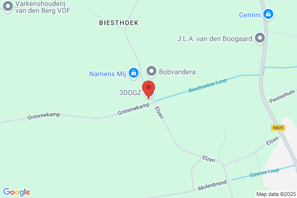 Van Den Elzen Motoren