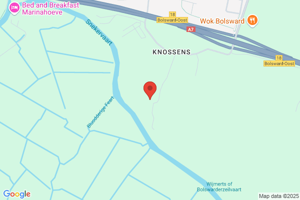 Witteveen, H