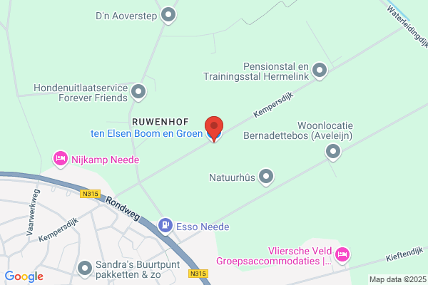 Elzen, N G Ten