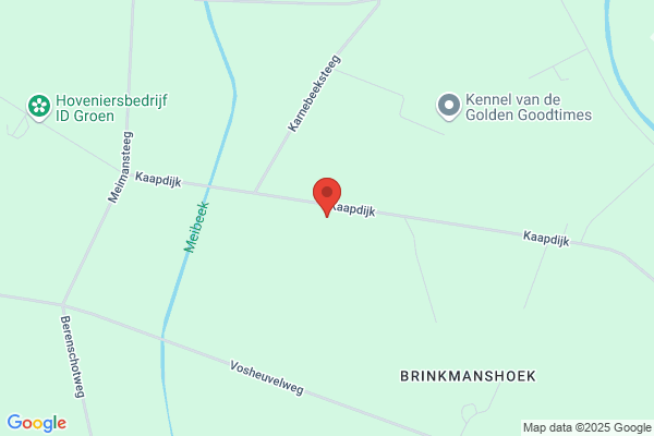 Span Accountants/Belastingadviseur