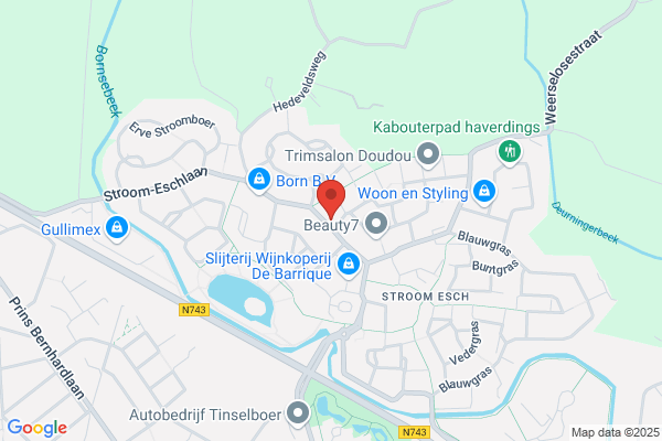Acupunctuur fysio- en manuele therapie Borne RBJ Wieffer