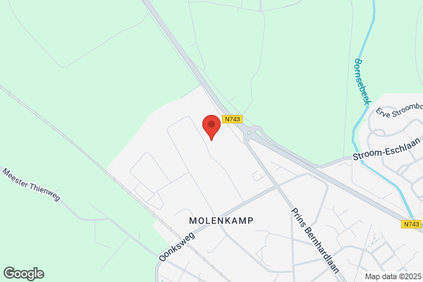 Morselt Borne Bv