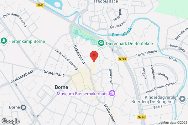Bibliotheek Borne