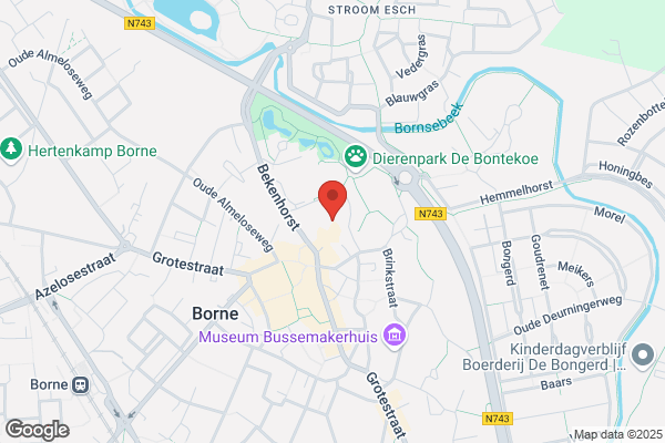 Bijenkorf Borne