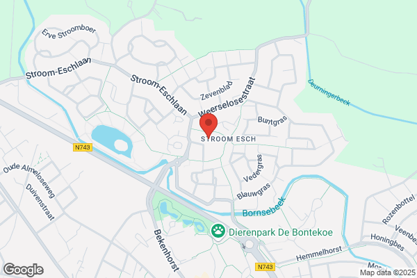 Optimisten Accordeonver, De