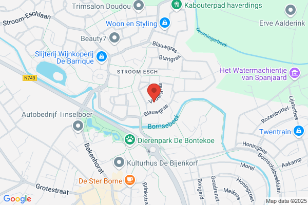 Documentatie Services
