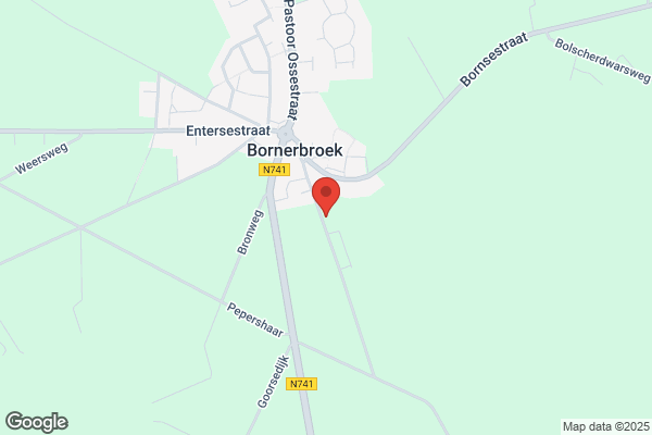 Braamhaar Hoveniers Bv