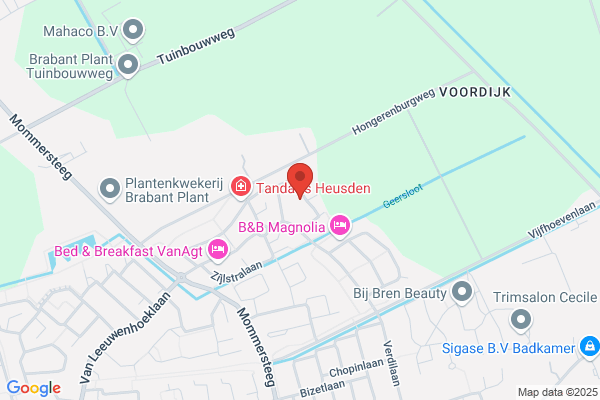 Van Heijningen Management Consultants Bv