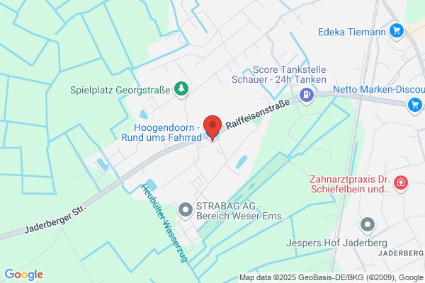 Hoogendoorn