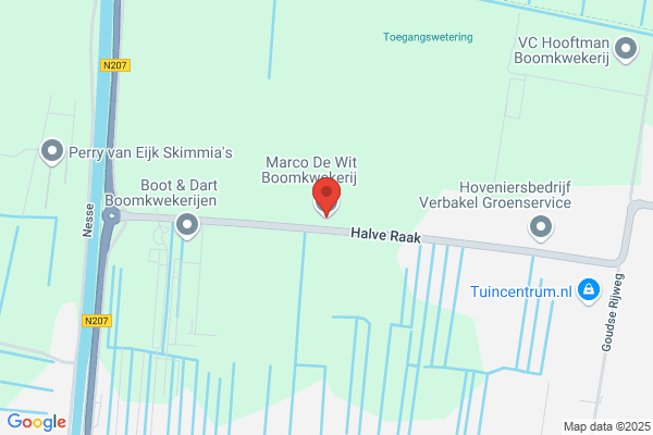 Ton De Wit Bv