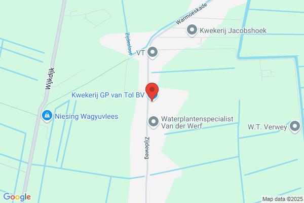 Kwekerij G.P. Van Tol Bv