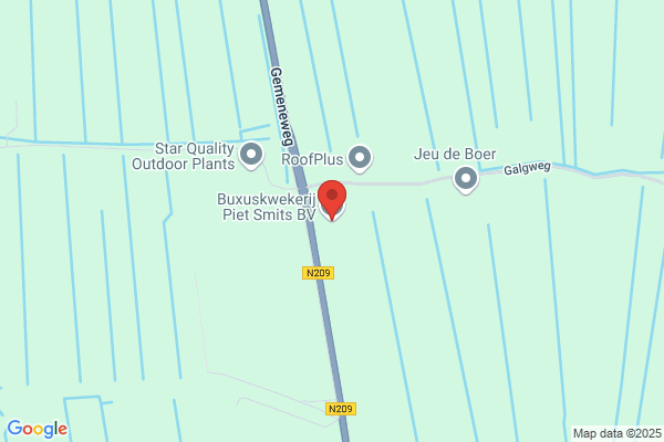 Buxuskwekerij Ridder Oudijk