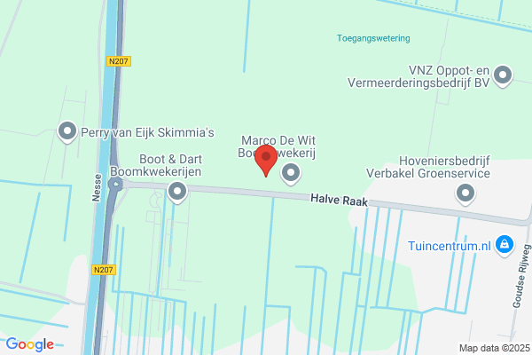 Nico Streng Boomkwekerij Bv