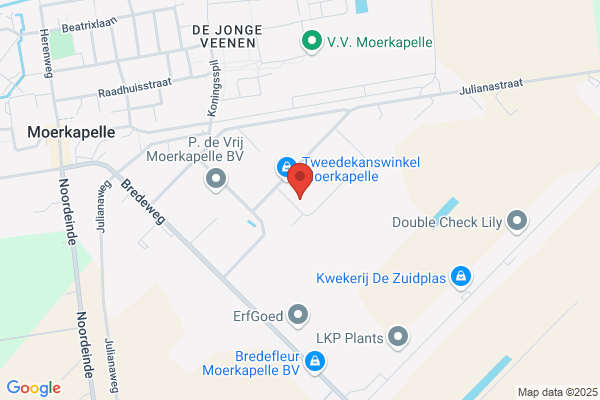 Kadiks Bv