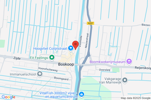 Hoogendijk, A