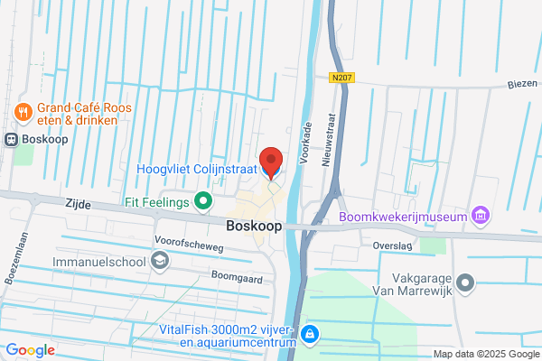 Hoogvliet