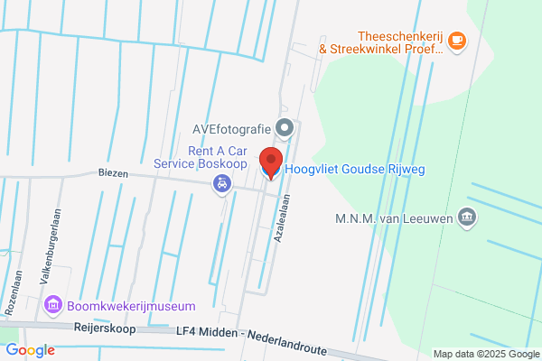Hoogvliet