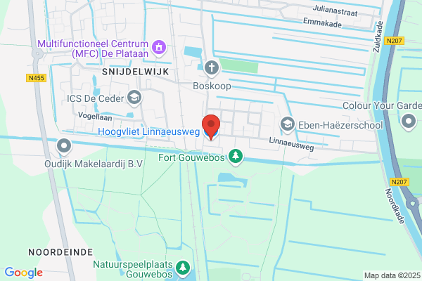 Hoogvliet