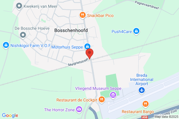 Goudsbloem, De