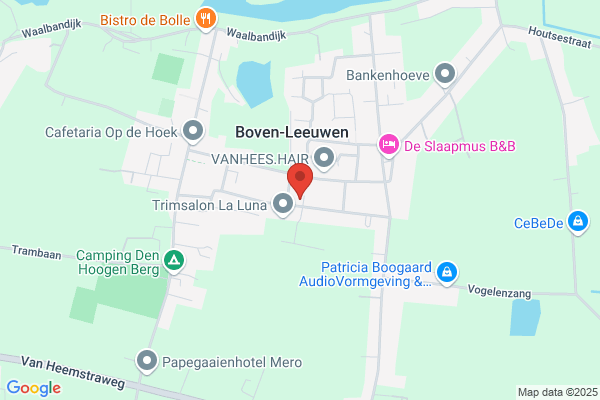 Sibrandi Boven-Leeuwen