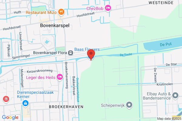 Baas Service