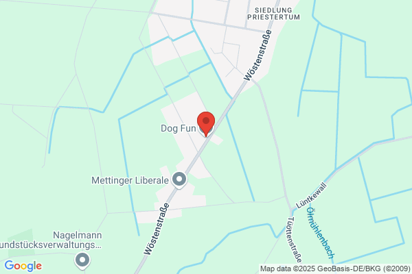 Dogfun