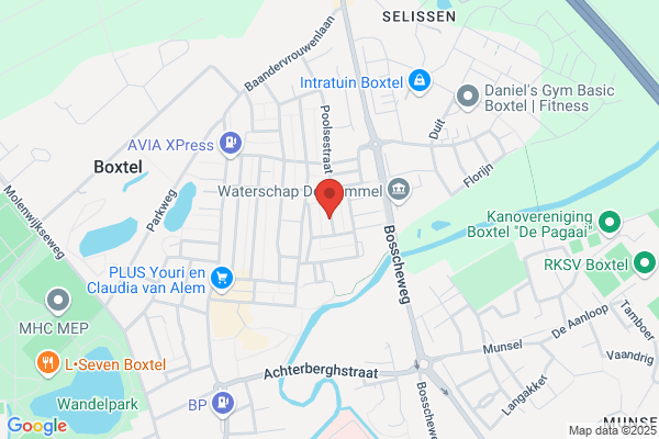 Renpaard, Het