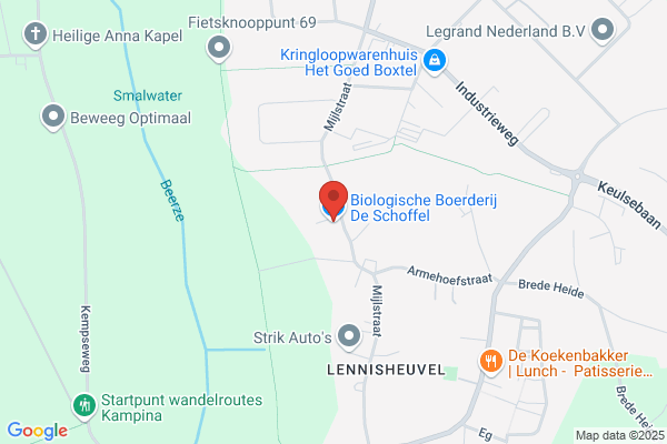 Nieuwe Oogst Groente En Fruit