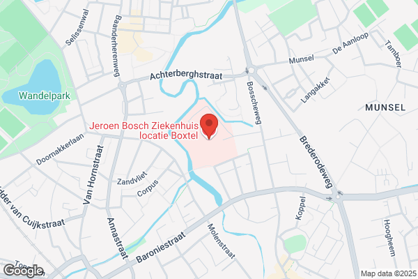 Jeroen Bosch Loc Liduina