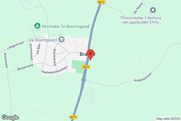 Klimop Hydrocultuur