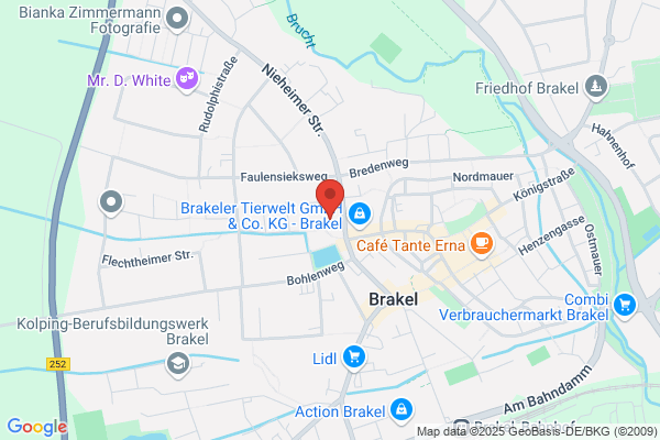 Ekeren Koster Groep, Van
