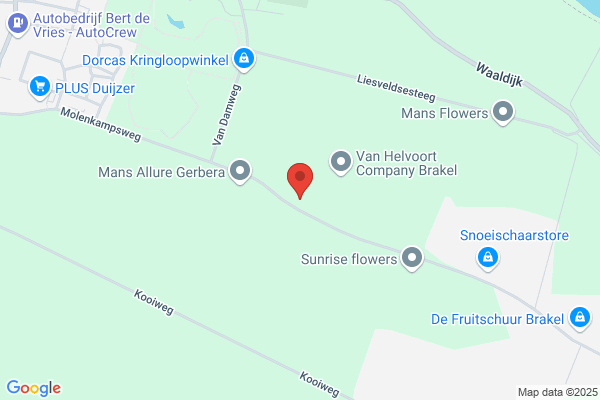 Bloemkwekerij J.K. De Vaal