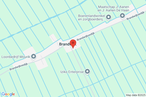 Blassekijn
