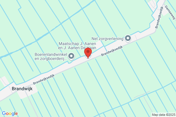 Boer De, T