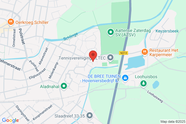 Ineke
