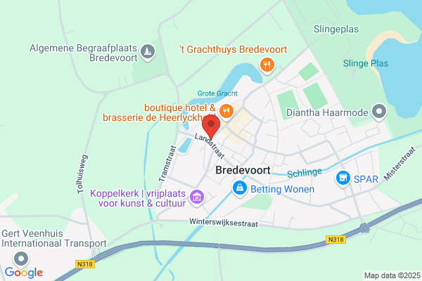 Zwaan, De