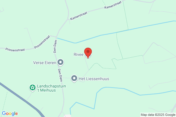 Rivee Reparatie's