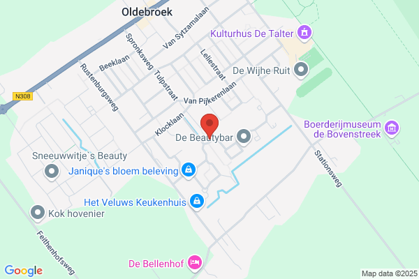 Elektronika Service H. Hoekstra