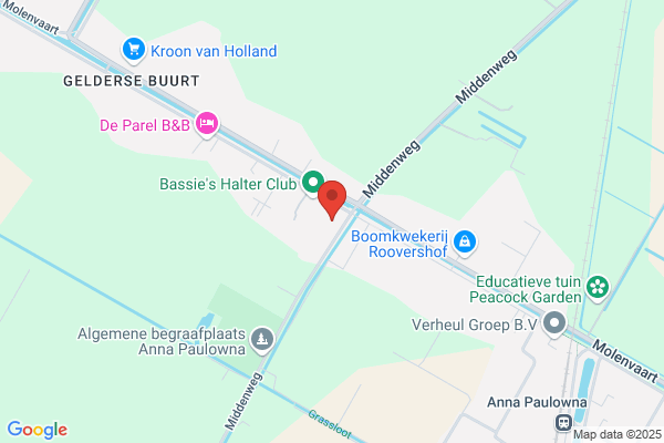 Autovakmeester Schaap