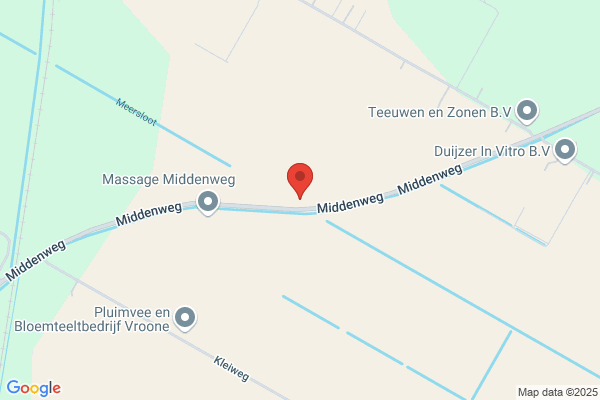 Kapiteyn, Gebroeders