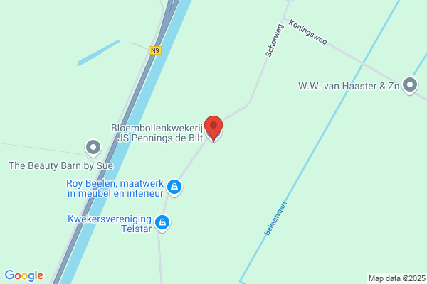 Bloembollenkwekerij C.H. Houdijk Bv