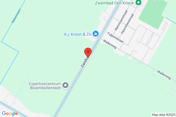 Borkowska