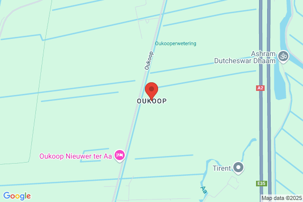 Hoogendoorn