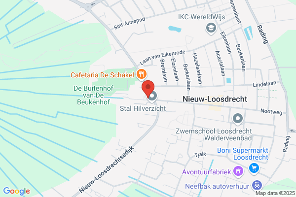 Veldhuizen, W