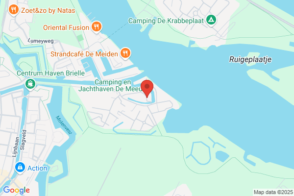 Meeuw, De