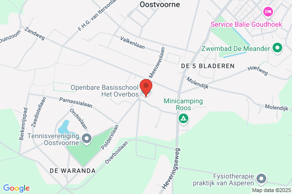 Het Overbos