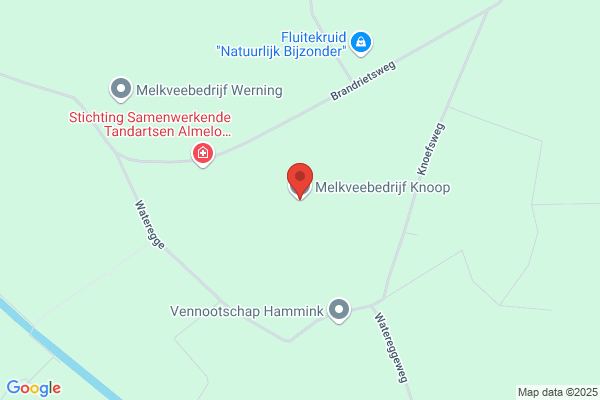 De Knoop