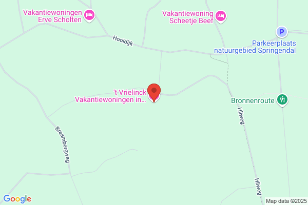 Th.J. Vrielink-Wolfkamp