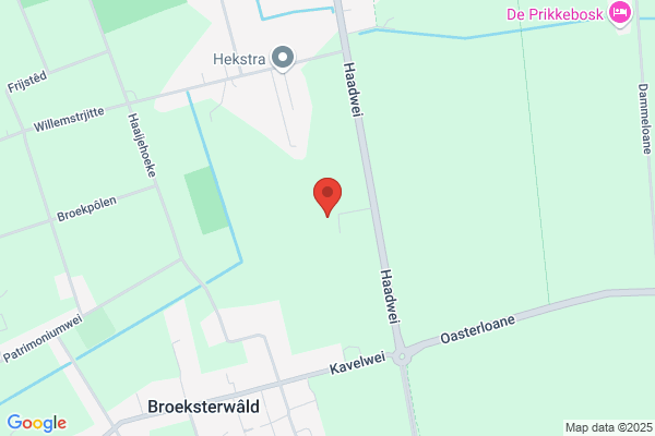 Kooi, Van Der